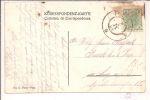 Pola