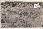 chemin des dames