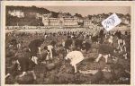 Le  Havre