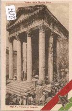 Pola