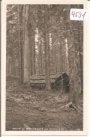 Trofaiach