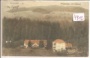 Neumarkt
