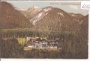 Ammerwald