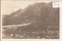Gailitz