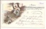 Kärntner Lieder