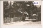 Alm bei Saalfelden