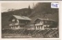 Wald im Pinzgau