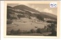 Wald im Pinzgau