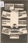 Marchegg