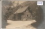 Langau
