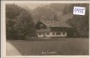 Langau