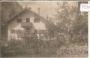 Maurach