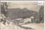 Neuwald