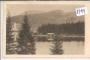 Wocheinersee