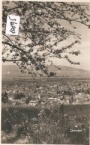 Dornbirn