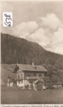 Neuwald bei Frein