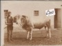 Knittelfeld - Umgebung