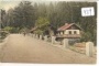 Choltice