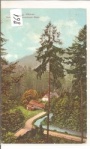 Sternberg