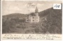 Zautke