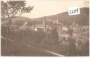 Graslitz