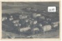 Sternberg