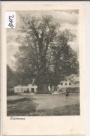 Faistenau