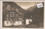 Kötschachtal Grüner Baum bei Badgastein