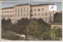 Pola