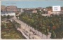 Pola