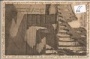 Pola