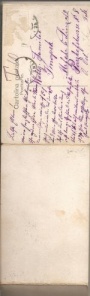 Pola