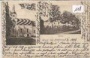 Dambrau