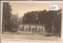 Walisfurth