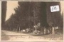 Brioni - Pola