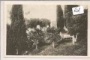 Brioni - Pola