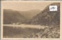 Medvea