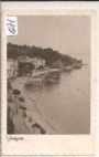 Podgora