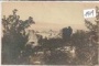 Novi