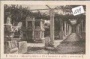 Salona