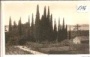 Trsteno