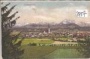 Schwanenstadt