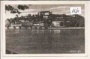Pettau