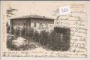 Saltino