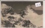 Litzner Seehorn