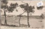 Ile - Aux - Moines