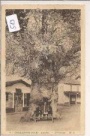 Biscarrosse