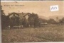 Neudegg