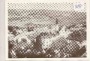 Mährisch - Altstadt