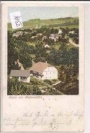 Rabenseifen